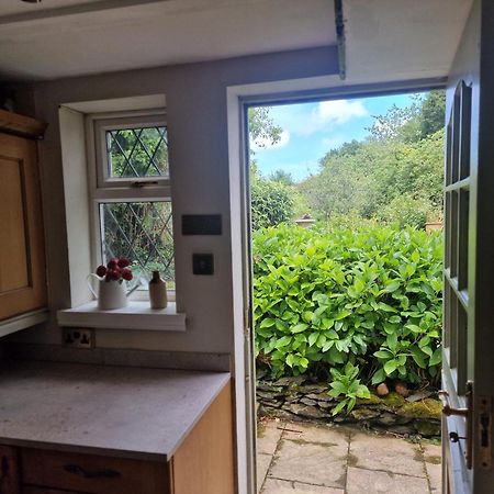 Glyn Isa Country House B&B And Self Catering Apartments Conwy Exteriér fotografie