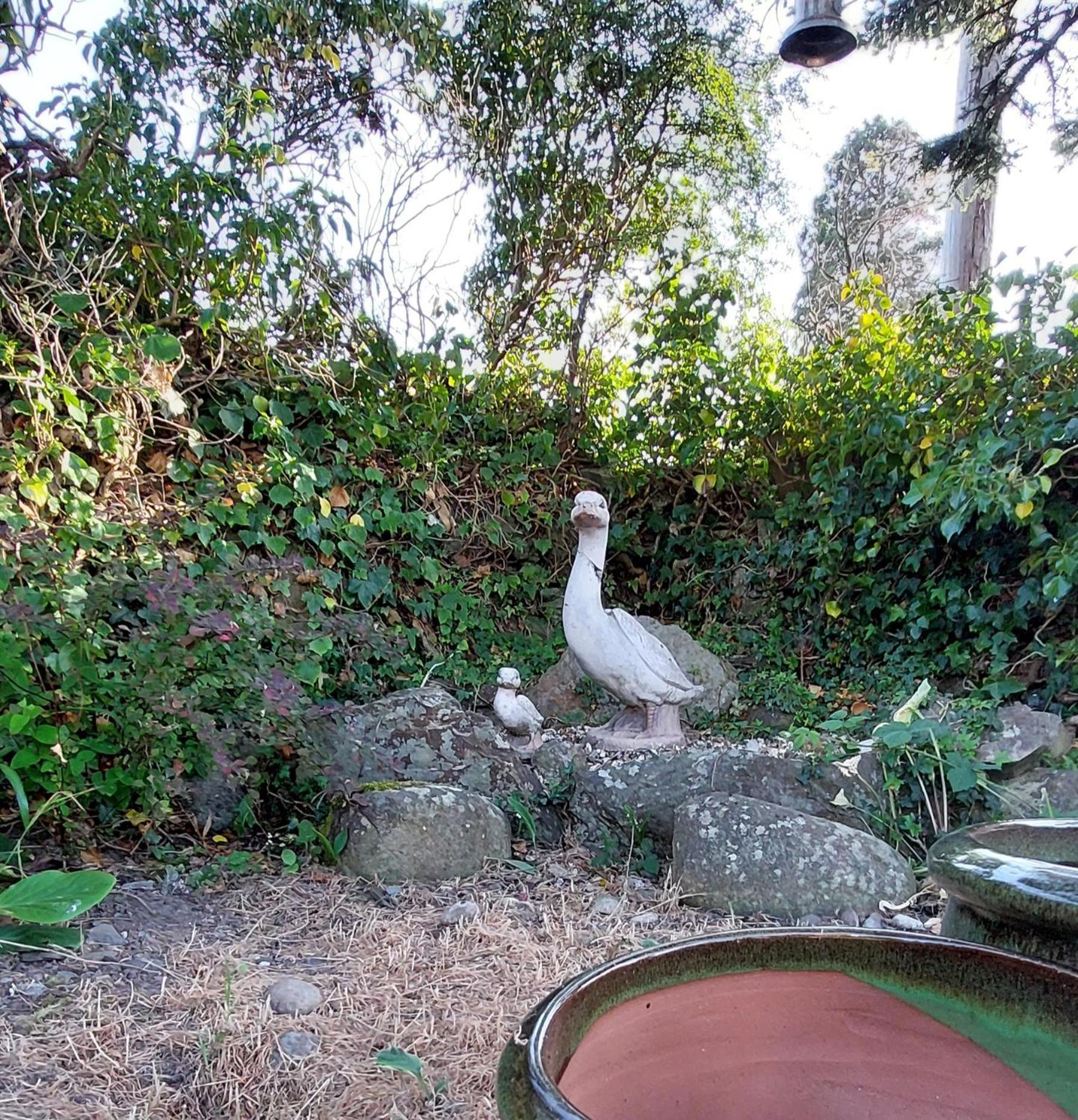 Glyn Isa Country House B&B And Self Catering Apartments Conwy Exteriér fotografie