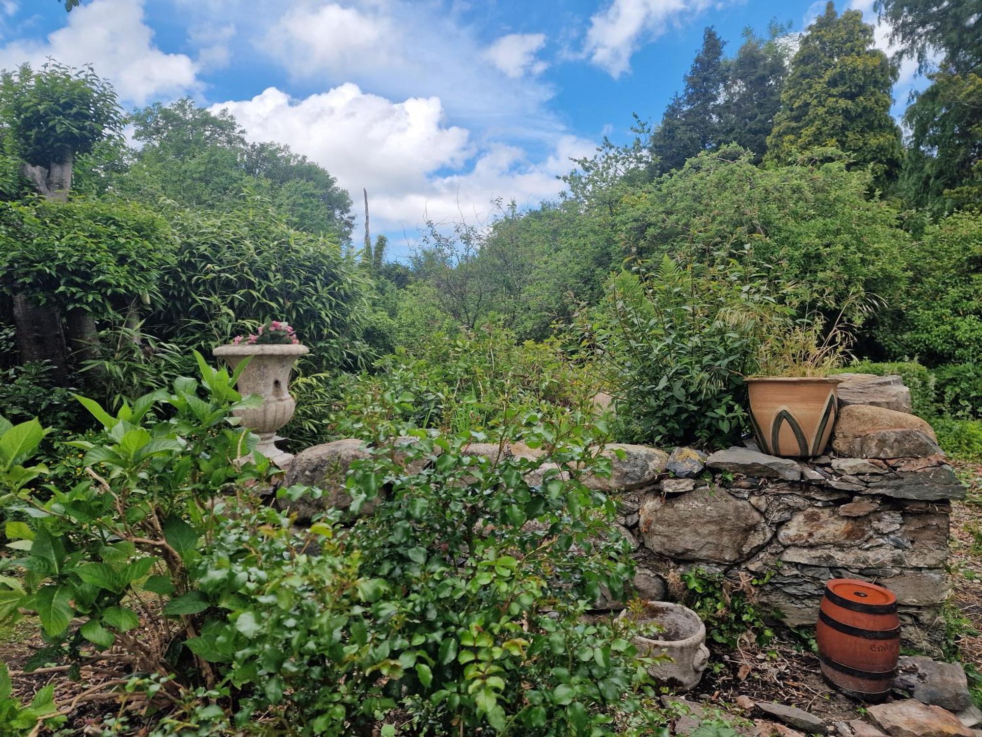 Glyn Isa Country House B&B And Self Catering Apartments Conwy Exteriér fotografie
